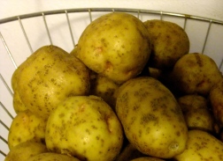 Potatoes waiting to become soup